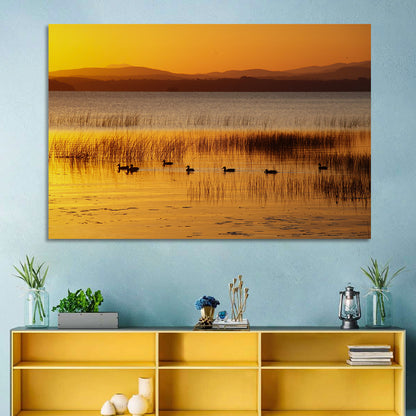 Lake Champlain Golden Sunrise Wall Art