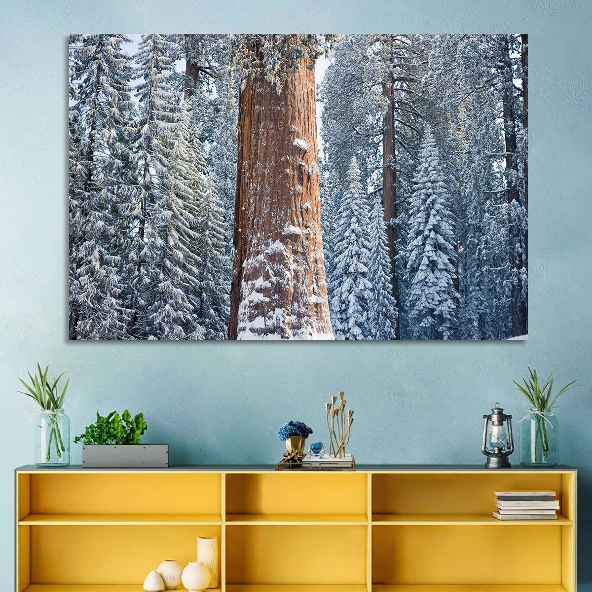 Winter Giant Sequoia in Snowy Forest Wall Art in a room, landscape