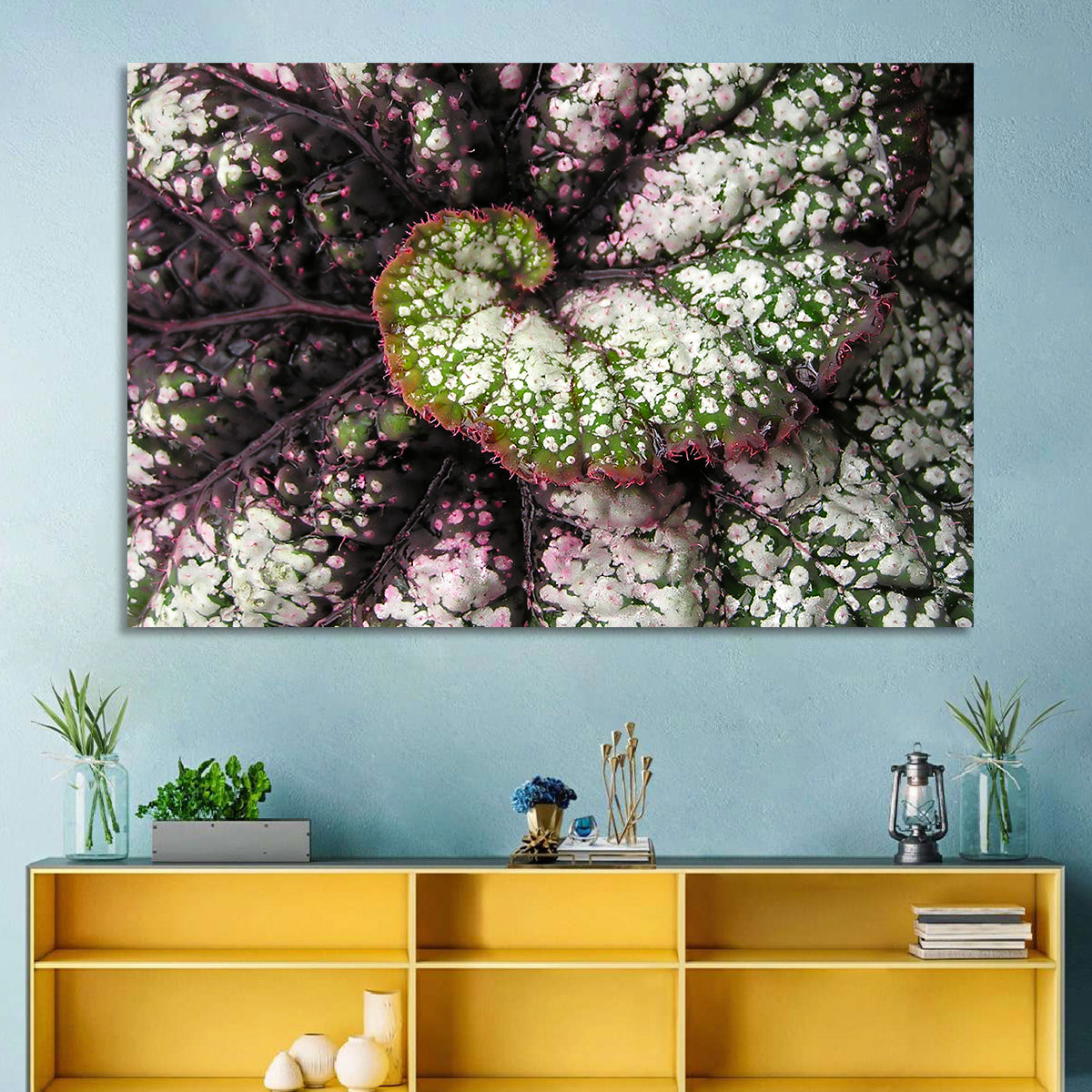 Begonia Leaf Spiral Geometry Wall Art
