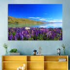 Lake Tekapo Lupine Fields Wall Art