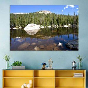 Colorado Forest Lake Wall Art