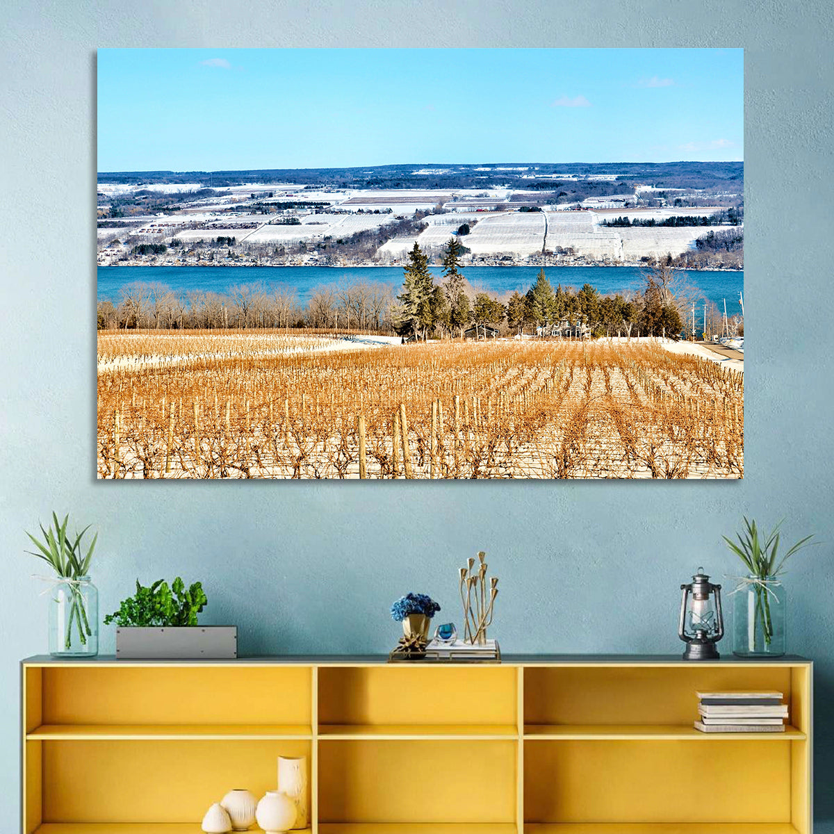 Seneca Lake Vineyard Wall Art in a room, landscape