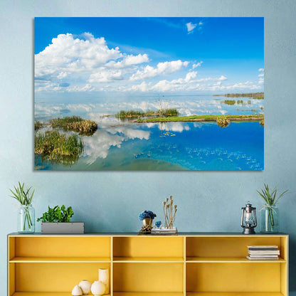 Lake Apopka Reflection Wall Art