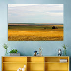 Lone Barn, Montana Farmland Wall Art