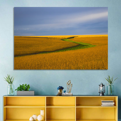 Golden Hour Soybean Field Wall Art