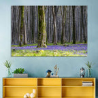 Bluebell Beechwood Grove Wall Art