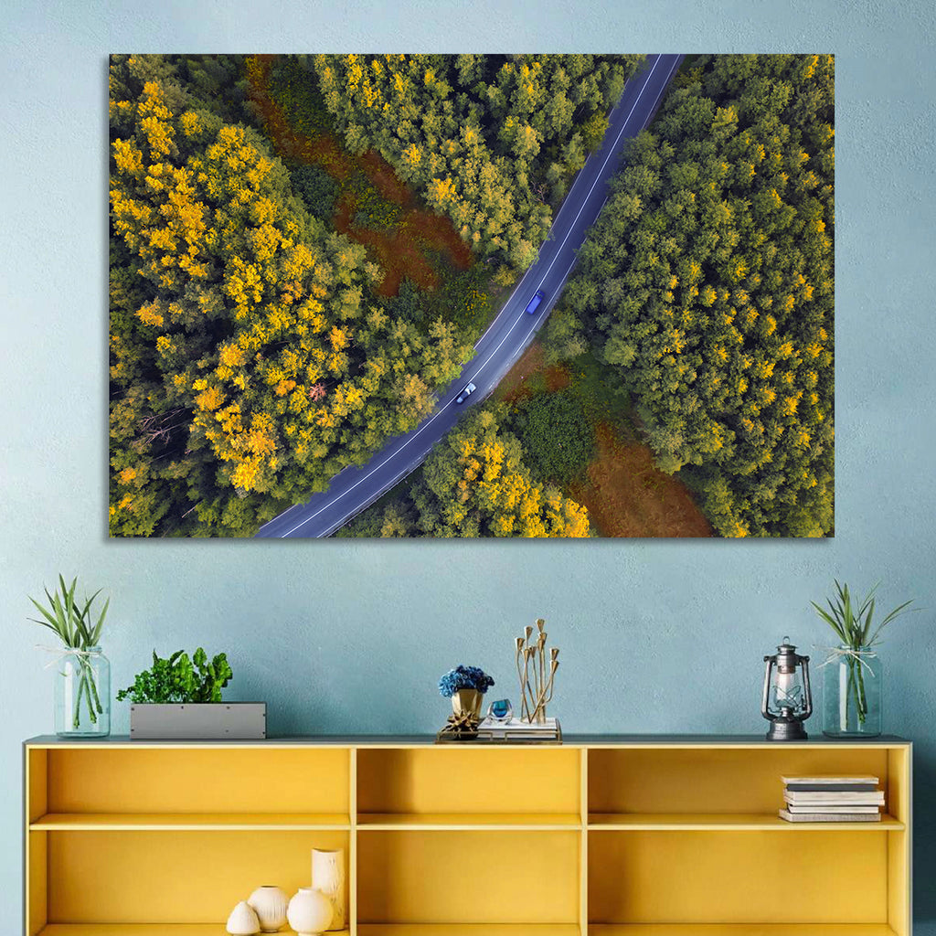 Aerial Autumn Forest Road Wall Art