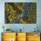 Aerial Autumn Forest Road Wall Art