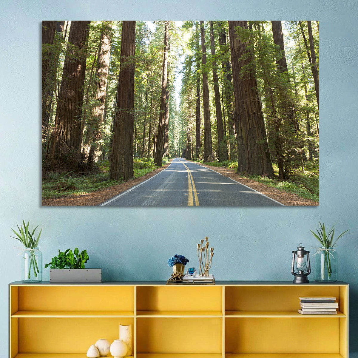 Giants Avenue Redwood Forest Road Wall Art