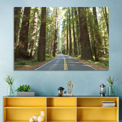 Giants Avenue Redwood Forest Road Wall Art