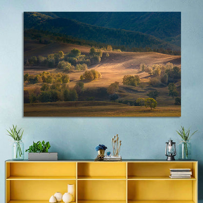 Bashang Plateau Golden Hour Wall Art
