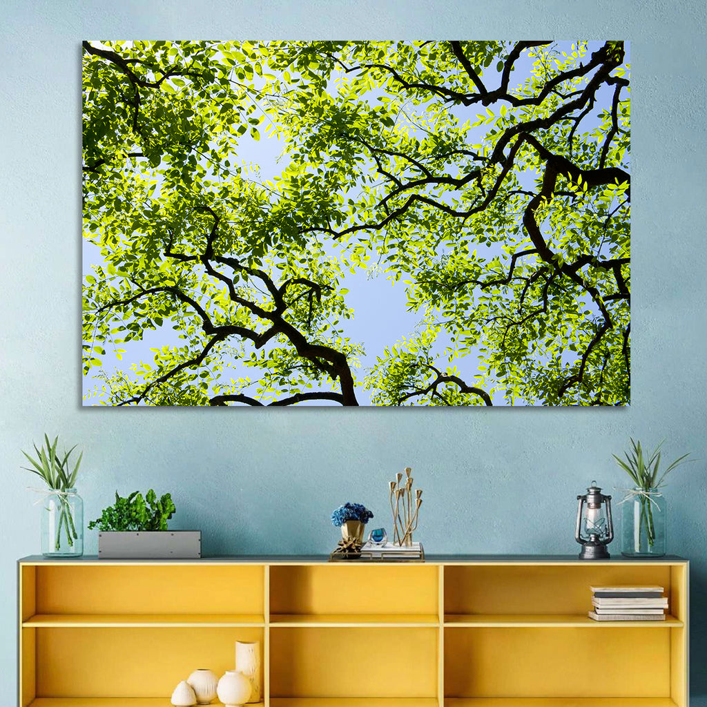 Sunlit Tree Canopy Wall Art