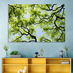 Sunlit Tree Canopy Wall Art