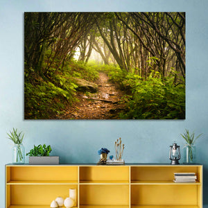 Craggy Gardens Hiking Trail Wall Art