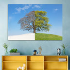 Split Season Tree Landscape Wall Art