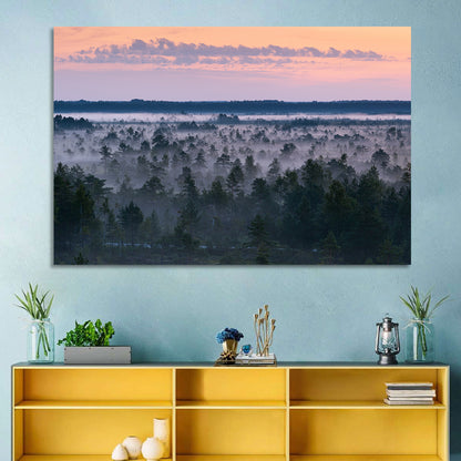 Estonian Misty Pine Landscape Wall Art