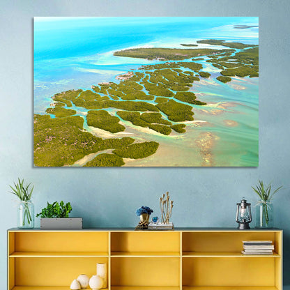 Florida Keys Mangrove Islands Wall Art