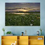 Illinois Fields Sunset Wall Art