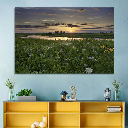 Illinois Fields Sunset Wall Art