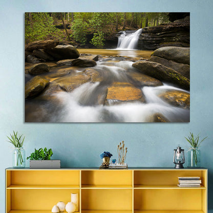 South Carolina Forest Waterfall Wall Art