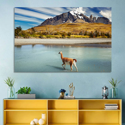 Torres Del Paine, Patagonia Wall Art
