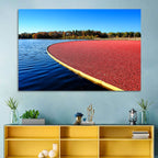 Flooded Cranberry Bog Wall Art