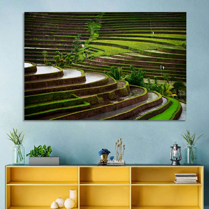 Lush Rice Terraces Wall Art