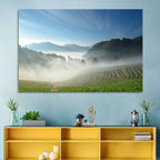 Sunlit Terraced Tea Hills Wall Art