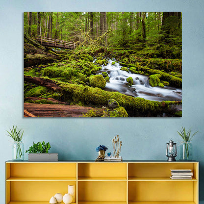 Mossy Cascade Forest Stream Wall Art
