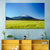 Mount Bachelor Wall Art