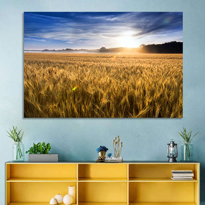 Golden Hour Wheat Field Wall Art