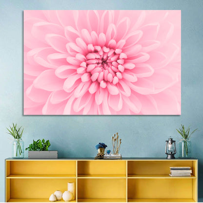 Pink Chrysanthemum Close-up Wall Art