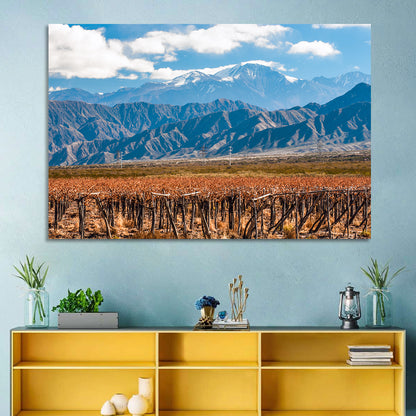 Volcano Aconcagua And Vineyard Wall Art