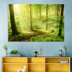 Sunlit Forest Path Wall Art
