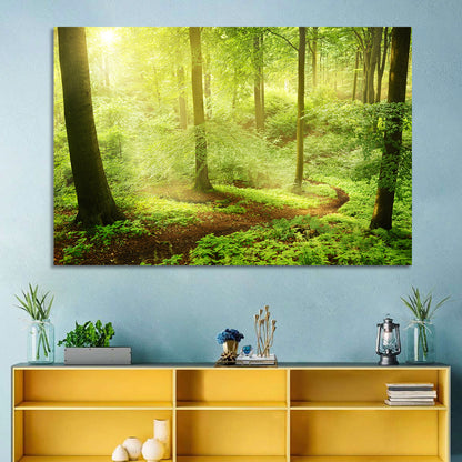 Sunlit Forest Path Wall Art