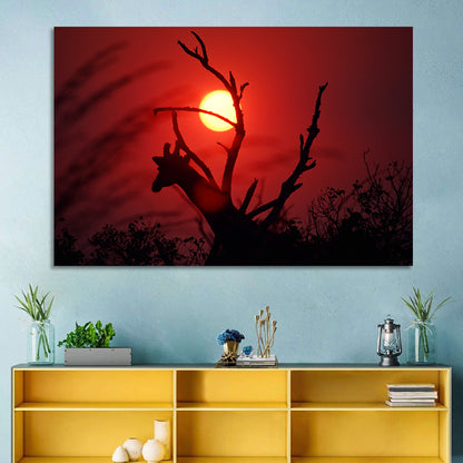 Giraffe Silhouette at Sunset Wall Art