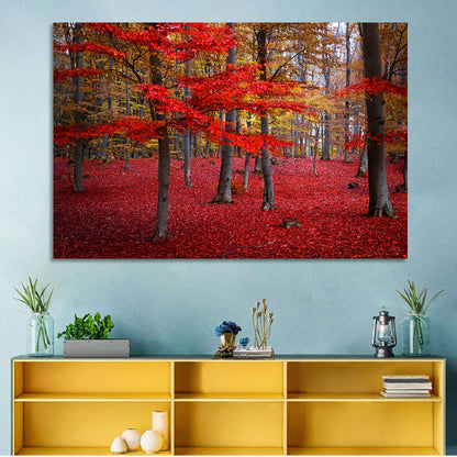 Crimson Autumn Forest Wall Art