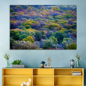 Green Forest Trees Wall Art
