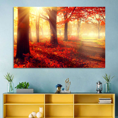 Sunlit Forest Path Wall Art