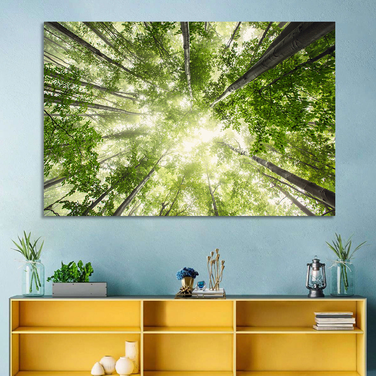 Spring Canopy in Morning Mist Wall Art in a room, landscape