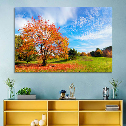 Orange Maple on Rolling Hill Wall Art