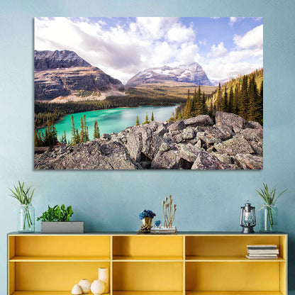 Lake Ohara Rocky Shore Wall Art