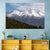 Mount Shasta Wall Art