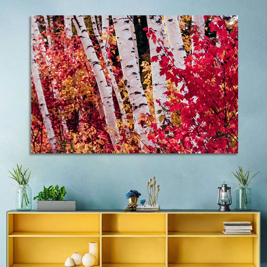 Autumn Birches with Crimson Maples Wall Art