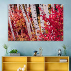 Autumn Birches with Crimson Maples Wall Art