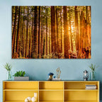 Golden Hour Redwood Sunburst Wall Art