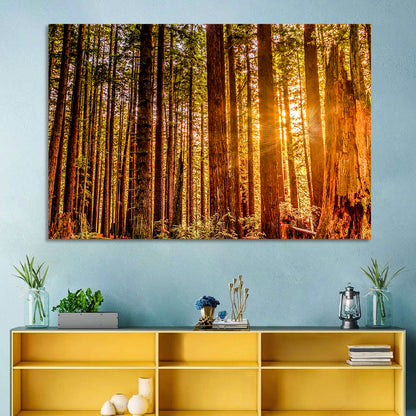 Golden Hour Redwood Sunburst Wall Art