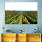 Tomato Fields Wall Art