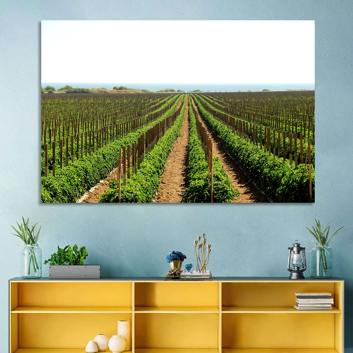 Tomato Fields Wall Art