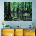 Congaree Swamp Reflection Wall Art
